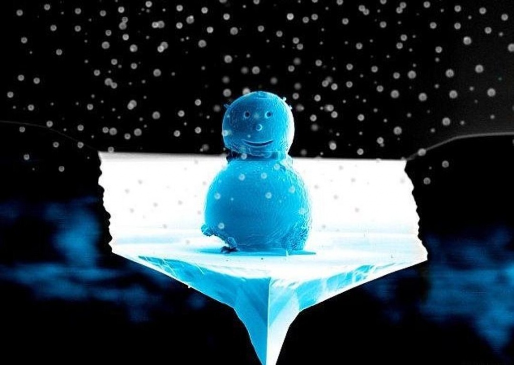 снеговик нано.jpg